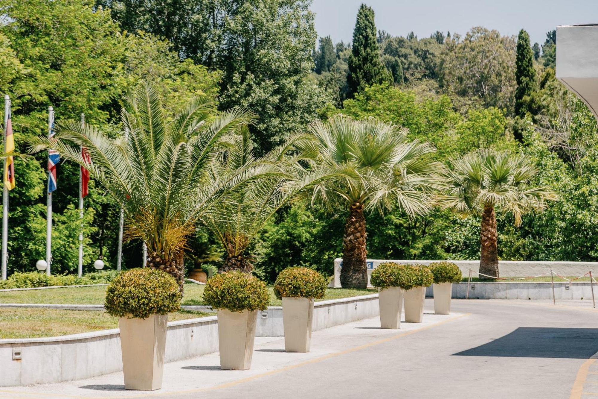 코르푸 홀리데이 팰리스 호텔 페라마 외부 사진 Phoenix canariensis in pots